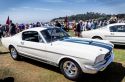 FORD MUSTANG I (1964 - 1973) Shelby GT350 coupé 1965