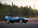 Jaguar Type D Competition 1955