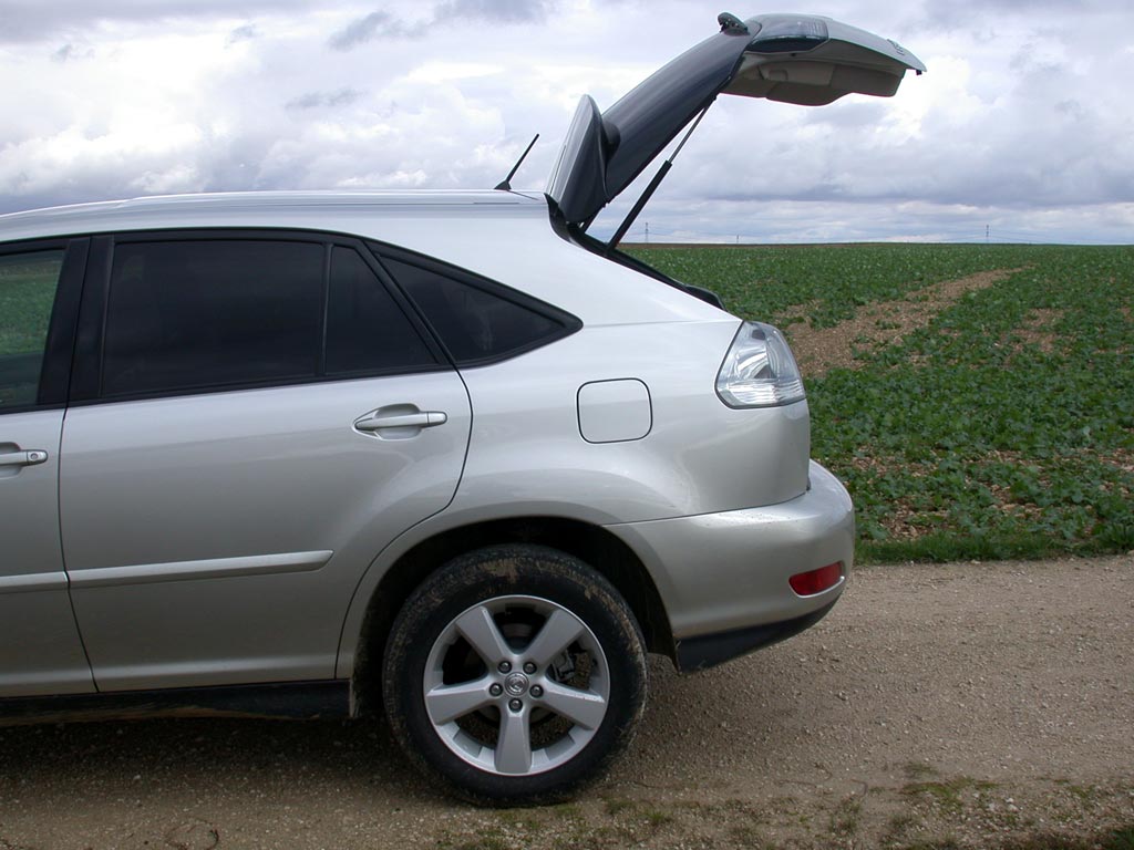 LEXUS RX 300 SUV 2004