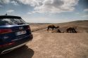 AUDI Q5 (2) 2.0 TDI 190 ch