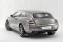 BENTLEY CONTINENTAL FLYING STAR by Touring