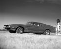 Max Chilton et sa Ford Mustang