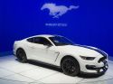 FORD MUSTANG VI (2015 - 2022) Shelby GT350 coupé 2015