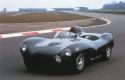 Jaguar Type D Continuation