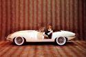 Le cinquantenaire de la Jaguar Type E