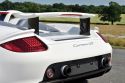 Porsche GT1 et Carrera GT