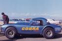 Cobra Daytona et deux roadsters 289