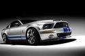 SHELBY MUSTANG GT500 cabriolet 2006