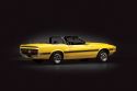 SHELBY MUSTANG GT500 cabriolet 2006