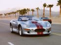 SHELBY SERIES 1